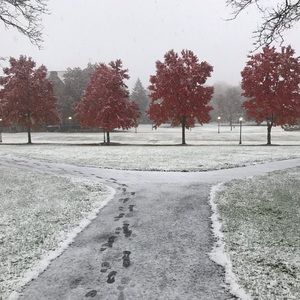 Meet your Posher, Dan